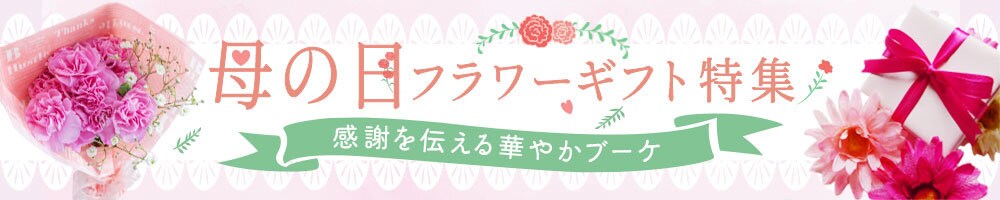 思わずクリックしたくなるバナー・ヘッダー制作します 女性向け特化｜ターゲットに刺さるデザインを丁寧に制作します。 イメージ7