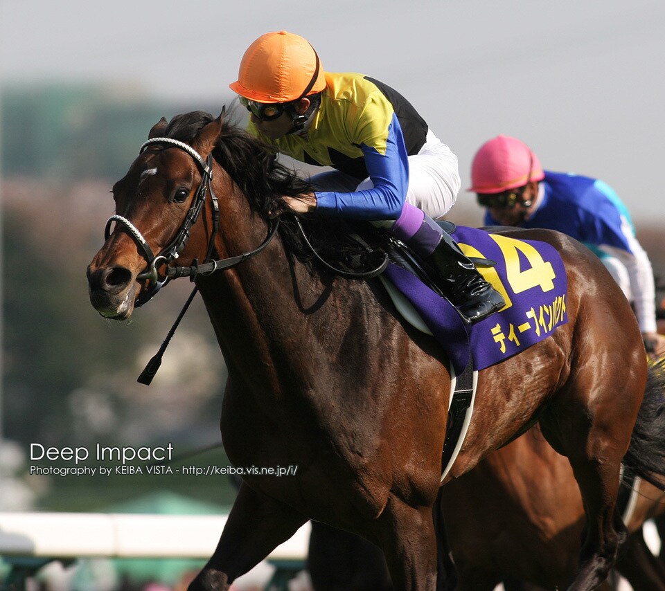 競馬の軸教えます 競馬の軸馬教えます(^^)追い切りなど総合的に考察します！ イメージ1
