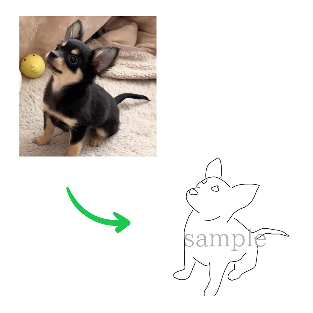 可愛いペットのお写真からお洒落な線画を描きます SNSのアイコンやプレゼントに！◎ イメージ3