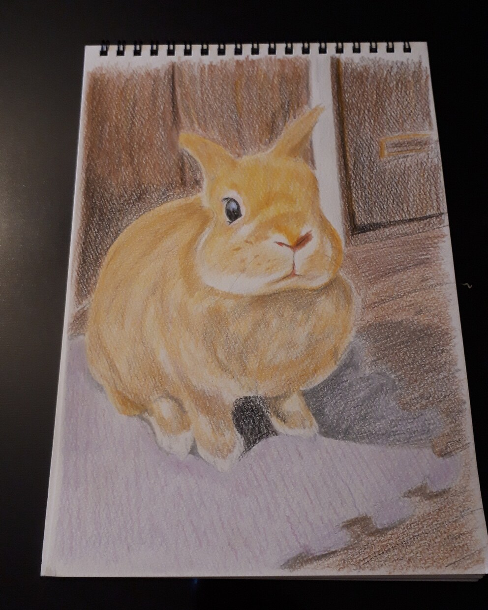 動物イラスト描きます 大切なペットやお気に入りの動物、心を込めて描きます！ イメージ1