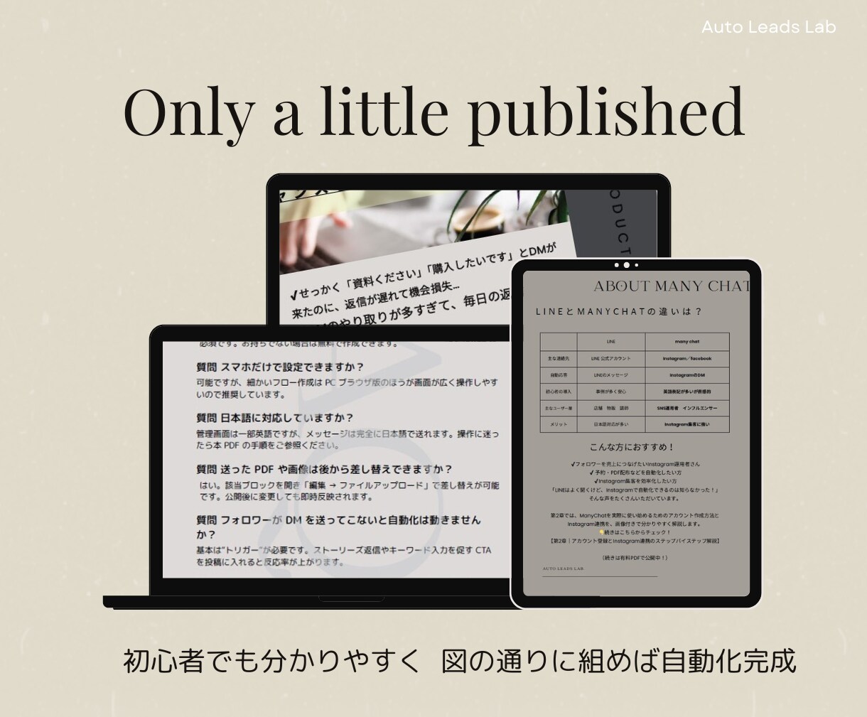 簡単×低価格でSNS集客が24時間稼働してくれます 高額ツール不要！ 接客と運営のプロが伝える、自動×仕組み導線 イメージ4