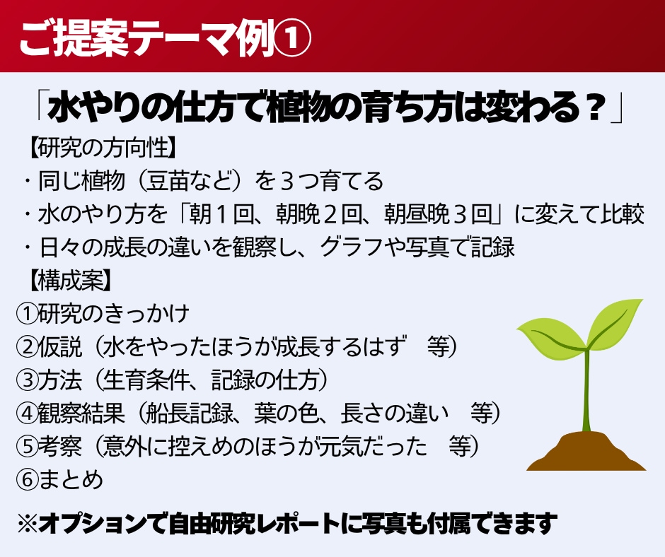 自由研究のテーマ提案から構成までを一緒に考えます 即日納品可能です！先着10名様限定で基本料1500円です！ イメージ2