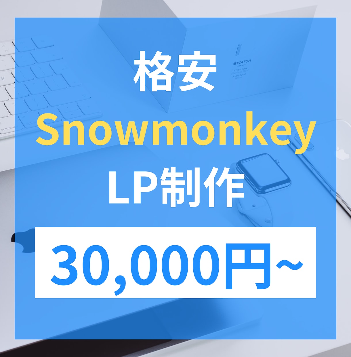 SnowMonkeyでLP制作いたします [スマホ対応込み]格安/高品質でお作りいたします。 イメージ1