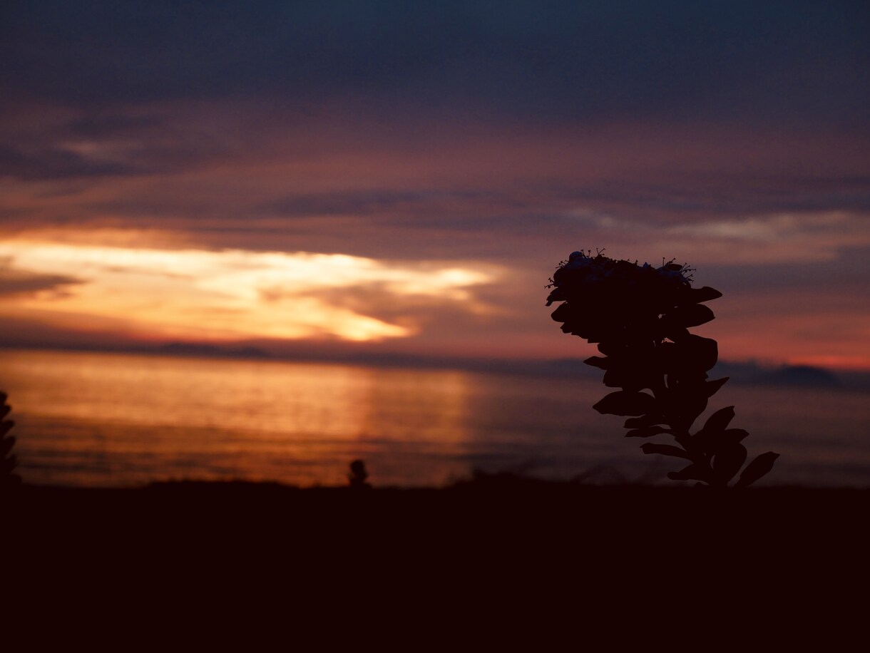 様々な風景の写真を提供致します ニーズにあった写真を提供致します。 イメージ4