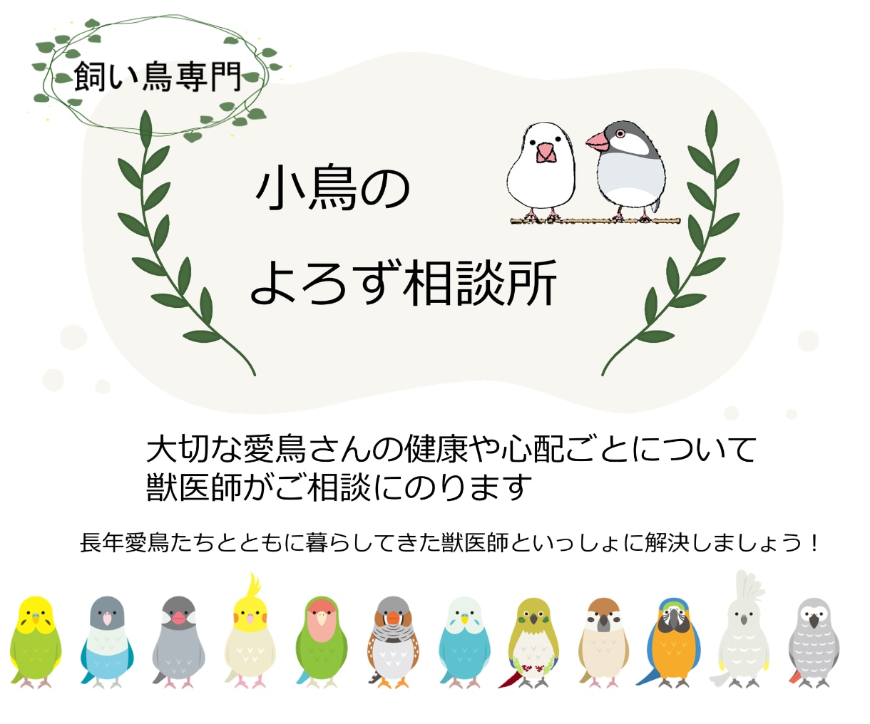 小鳥専門：愛鳥の心配ごとに獣医師がお答えします 飼い主様と愛鳥さんの幸せな毎日をお手伝いします イメージ1