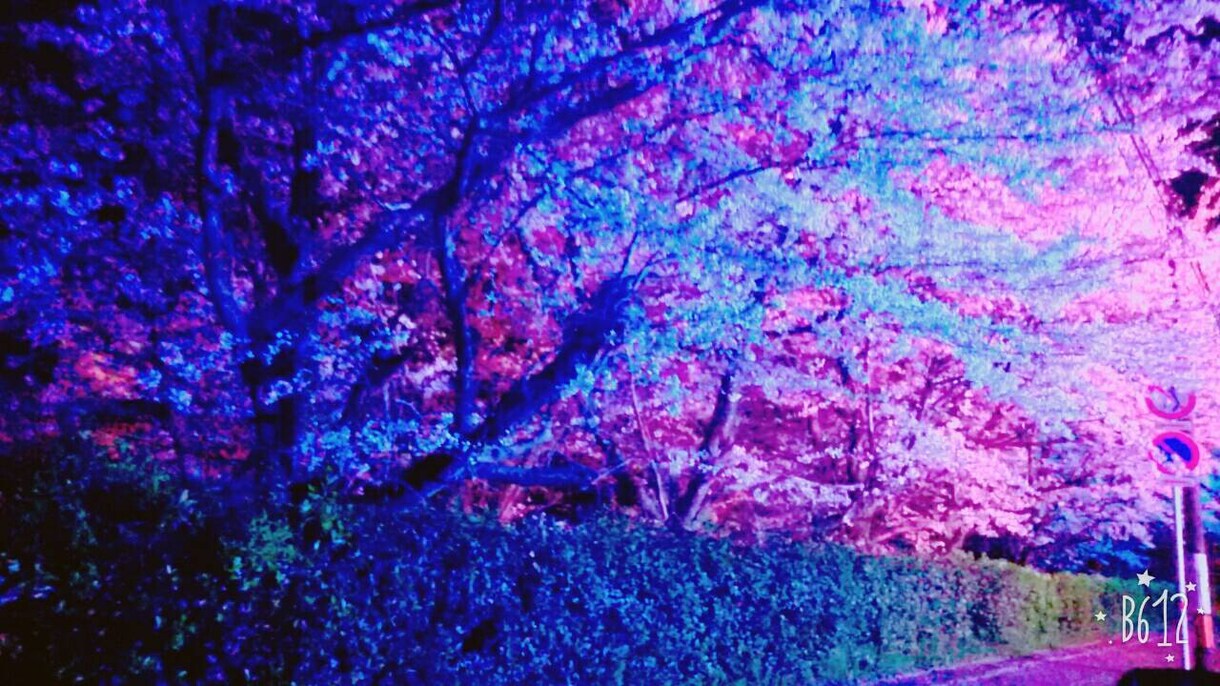 あなたの心に寄り添います 自傷行為、鬱、家庭問題など 心が苦しい時に寄り添います イメージ1