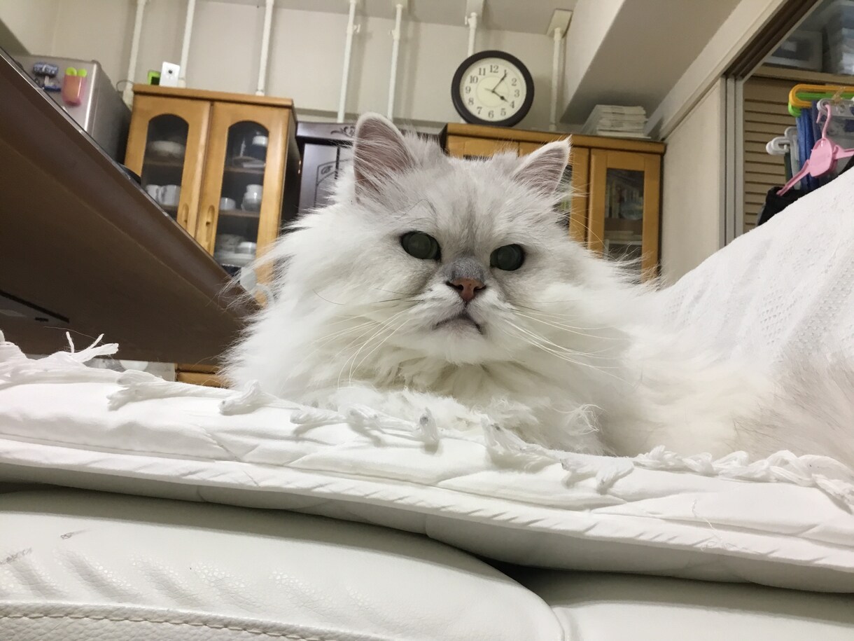 書類の清書を行います 手書きの文書をワープロ文書に仕上げます。 イメージ1