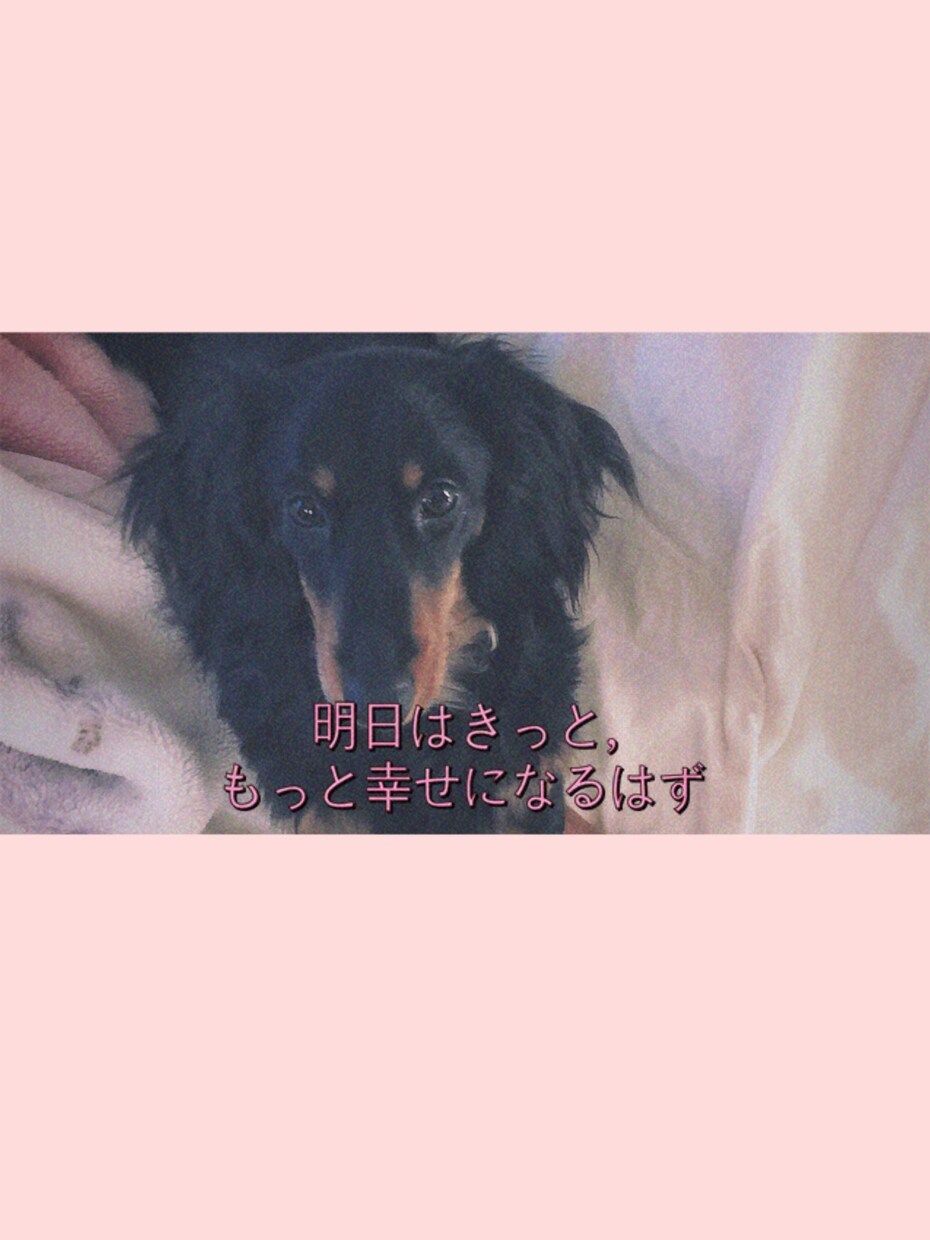 貴方の悩める複雑な想い様々な恋愛を鑑定致します ♡ワクワクドキドキだけじゃない恋もある！画像添付追加料金ナシ イメージ6