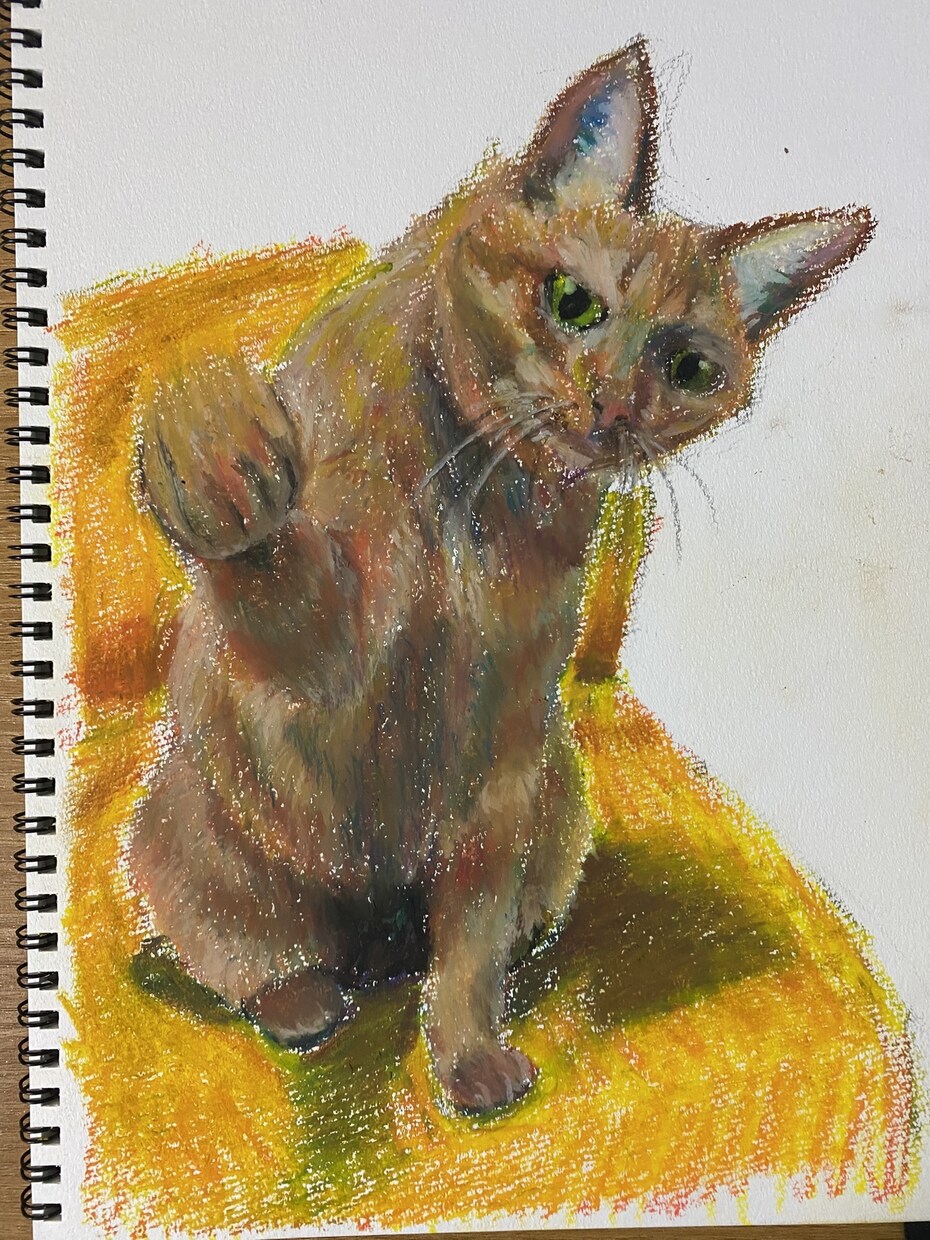 ペット似顔絵　鉛筆やクレヨンで描きます そばにいる、あたたかさをお届けします イメージ3
