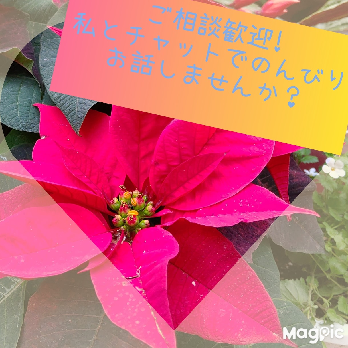 のんびりチャットで☆愚痴〜相談まで受け付けてます チャットで♪1日単位から♪価格低♪彼女始めました♪ イメージ1