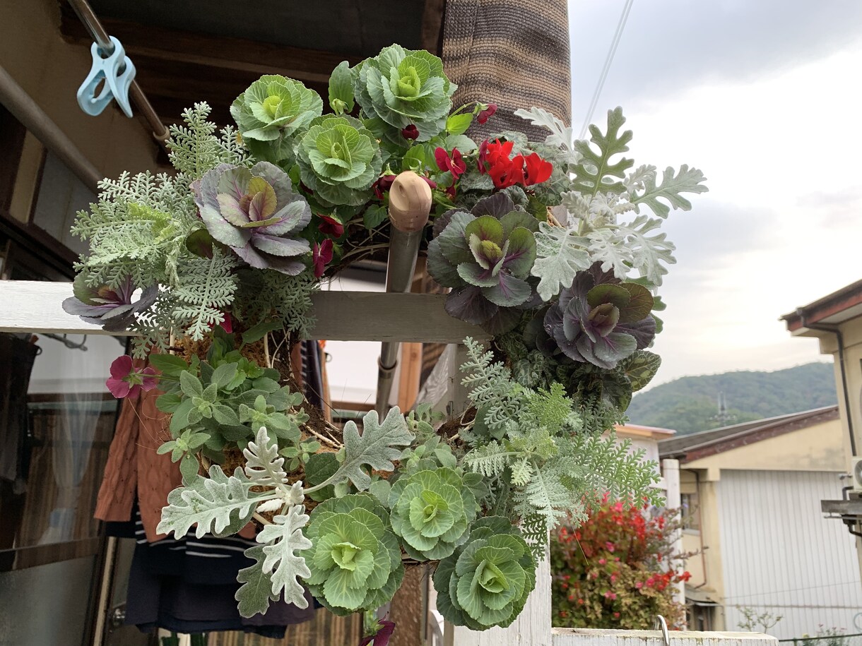 作品を購入できます 写真掲載している現物のみ購入可能です イメージ5