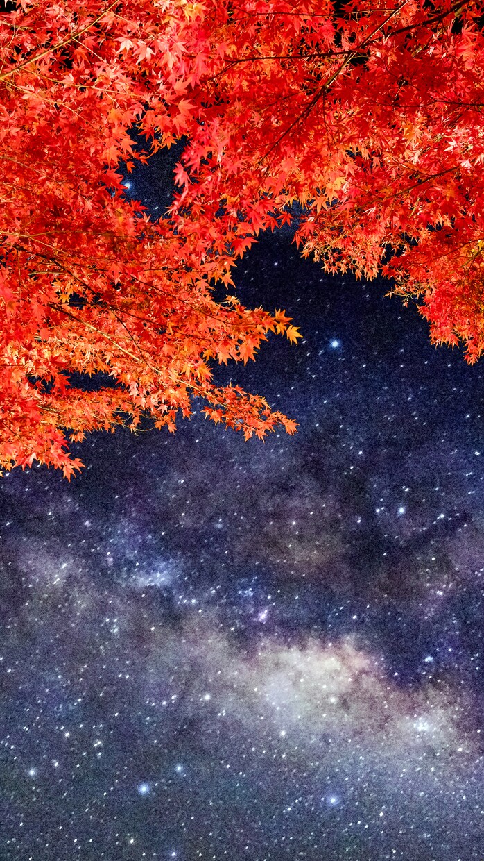 あなただけのための曲をつくります 要望に沿った、あなたのためだけに曲をつくります。 イメージ1