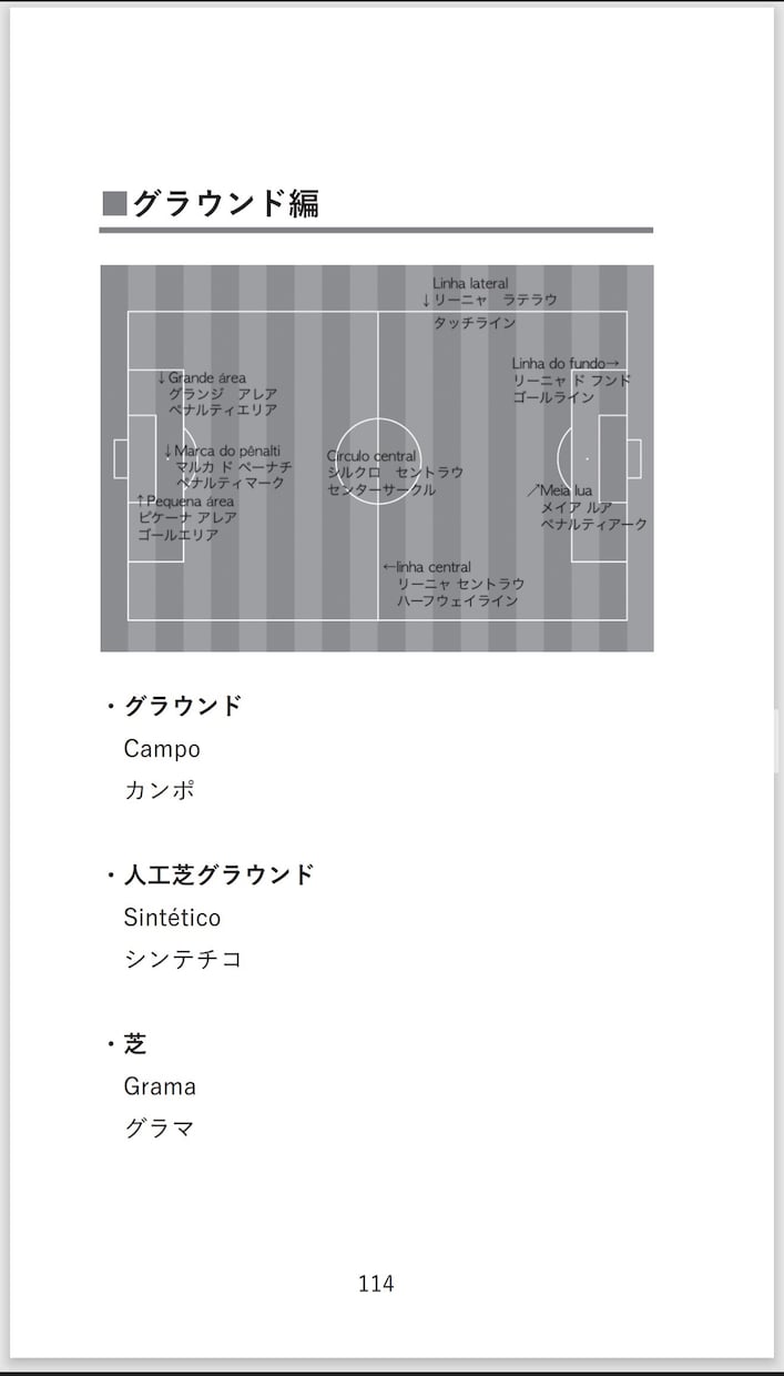 ポルトガル語のサッカー用語データお渡しします 辞書にも載ってない用語含め240ページ! イメージ10