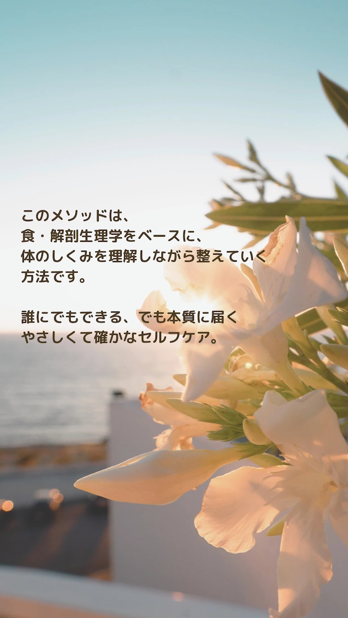 パニック障害を体から整える方法をお伝えします 9年苦しんだ私が実践パニック障害を体から整えるセルフメソッド イメージ4