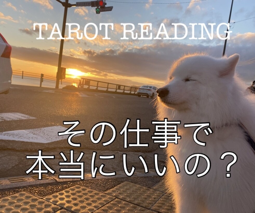 この仕事でいいのかな…お答えします 今の仕事に疑問を感じている方、解決のお手伝いさせてください イメージ1
