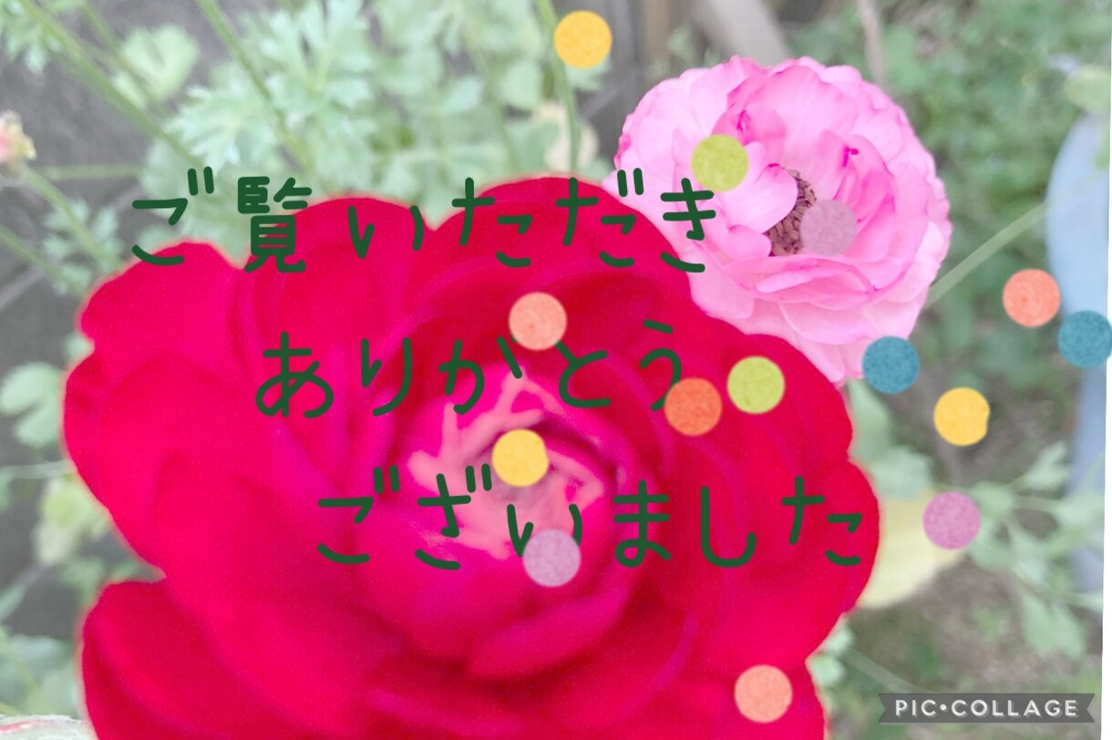更年期世代の女性のお悩み*相談にのります 。これからは、自分を大切に!一緒に輝きを取り戻しましょう♡︎ イメージ10