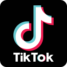TikTokの動画再生数を増加します TikTok動画宣伝します！減少30日間対応します。 イメージ1