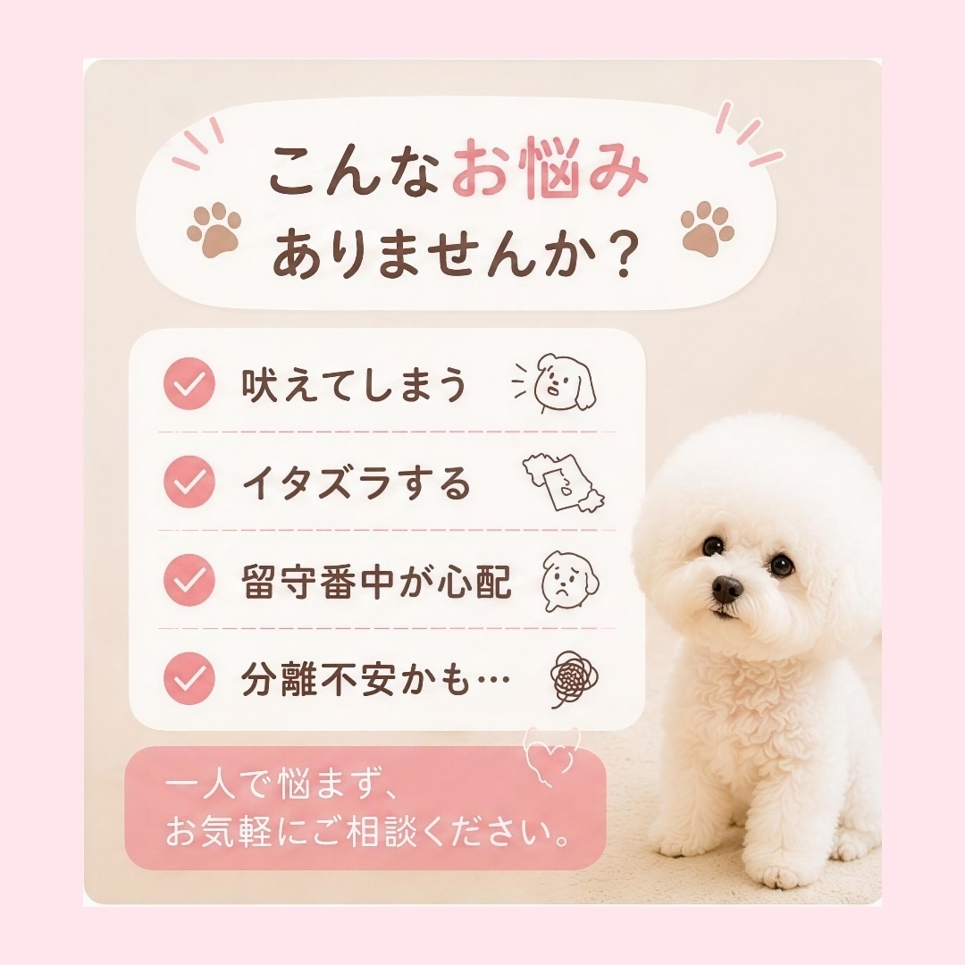 愛犬のお留守番、不安なお気持ちお聞きしますます お留守番が苦手な愛犬を一緒にサポートします イメージ2