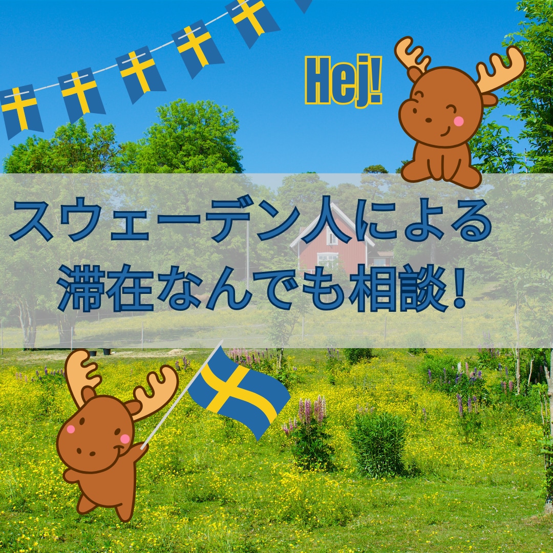 スウェーデン人による現地滞在に関する相談にのります ネイティヴだからこそ本当の現地情報や滞在の不安を即解消！ イメージ1