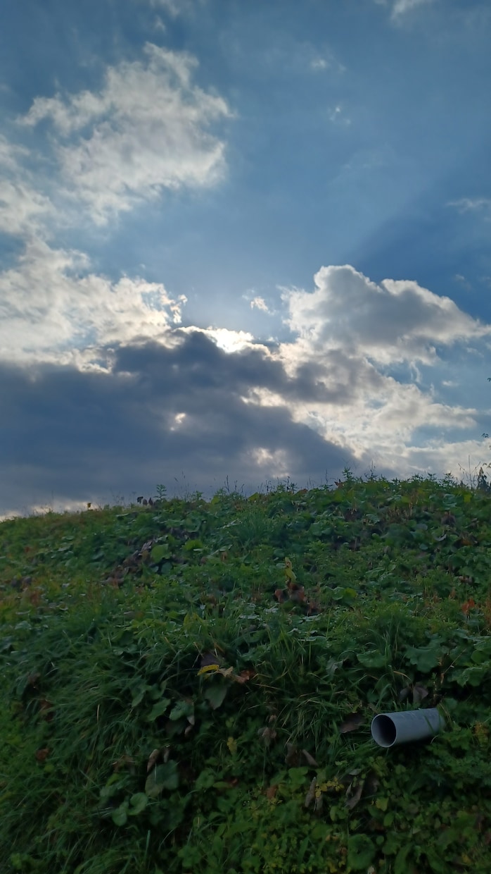 自律神経による体調の悪さ、私が優しく聞きます 手足の冷え、感情の起伏、夜寝付けないなど イメージ4