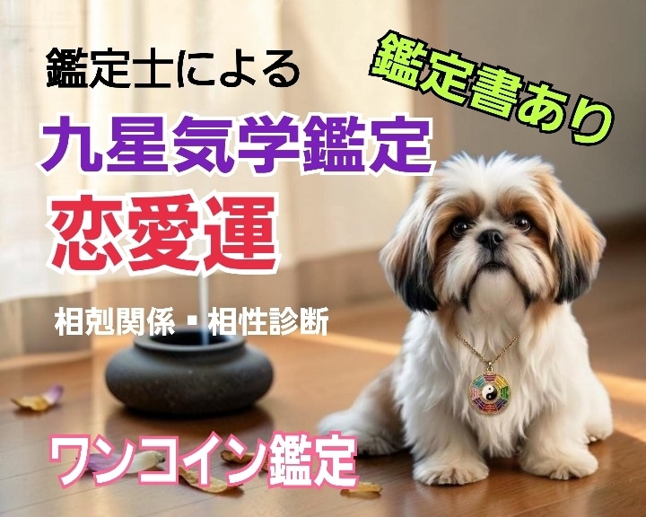 九星気学で恋愛運の総合鑑定を行います 「本来の自分」を知り我慢しない恋愛をしましょう イメージ1