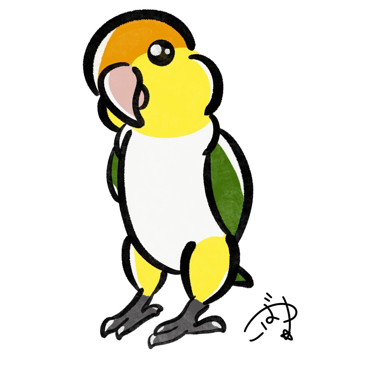 可愛い鳥さんのイラスト描きます インコ、オウムメインでお描きします イメージ3