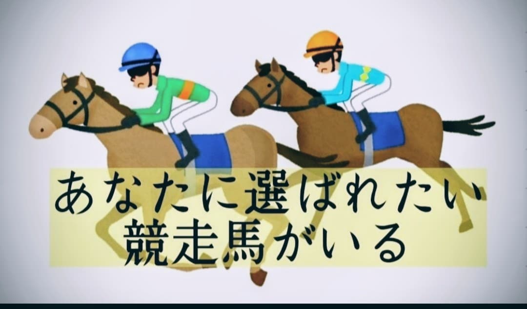 土日1レースずつの予想を月額プランにて提供します 複勝・ワイド・3連複の軸に最適♪ イメージ1