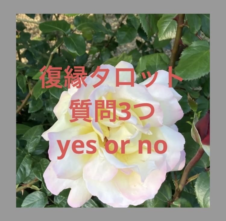 霊感タロット占いいたします チャットで3つ質問を聞いていただき占います。 イメージ1