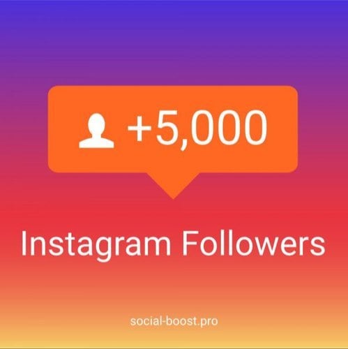 Instagramフォロワー5000人増やします instagramのフォロワーを増やします イメージ1