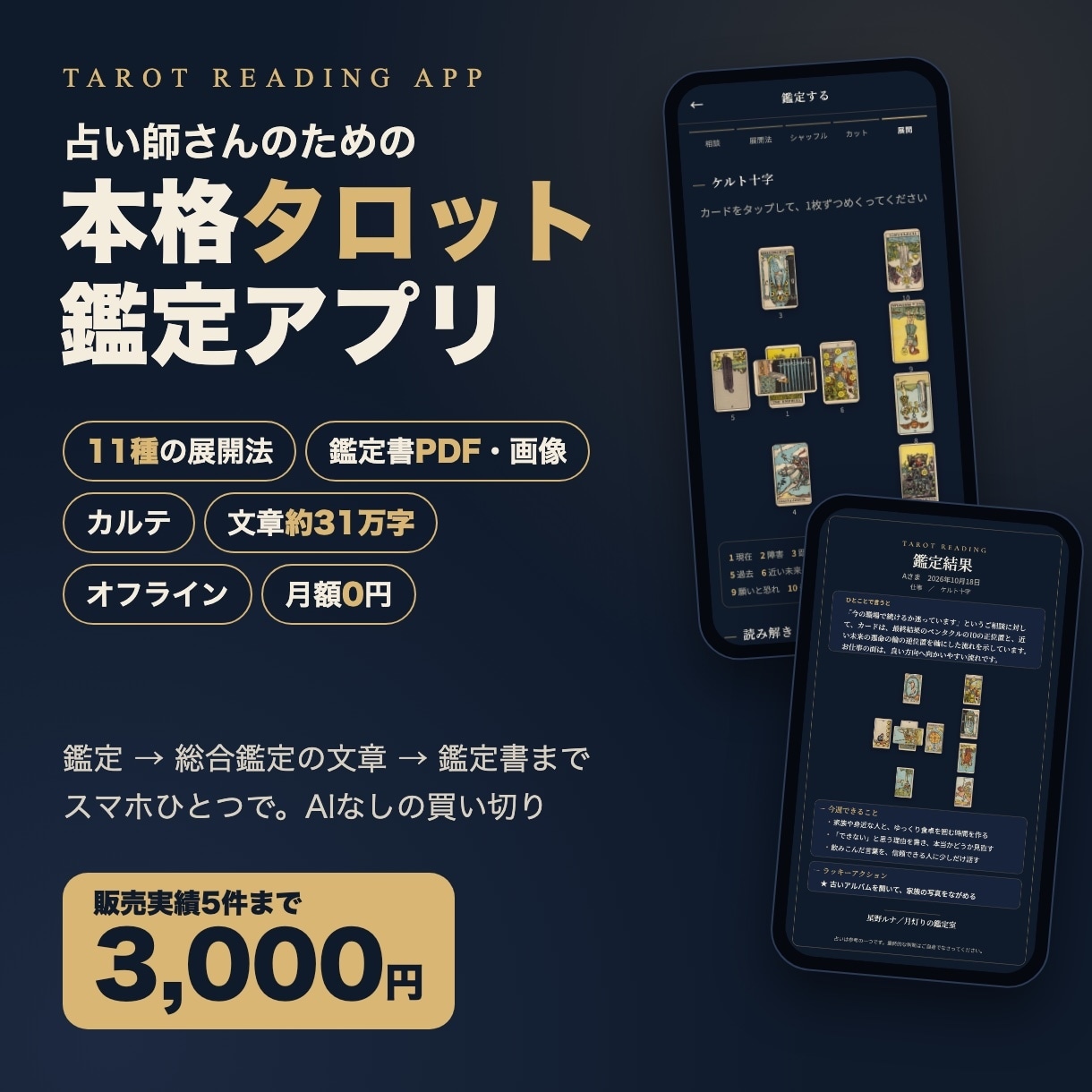 占い師向け本格タロット鑑定アプリを納品します 展開法11種・鑑定書PDF・カルテ｜先着5名3,000円 イメージ1