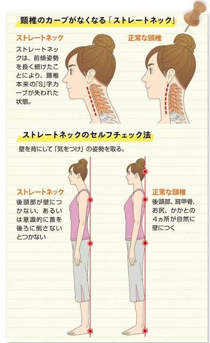 腰痛、肩こりなど症状改善の自己調整法を教えます 米国カイロ大学留学の知識と経験を元にアドバイス イメージ6