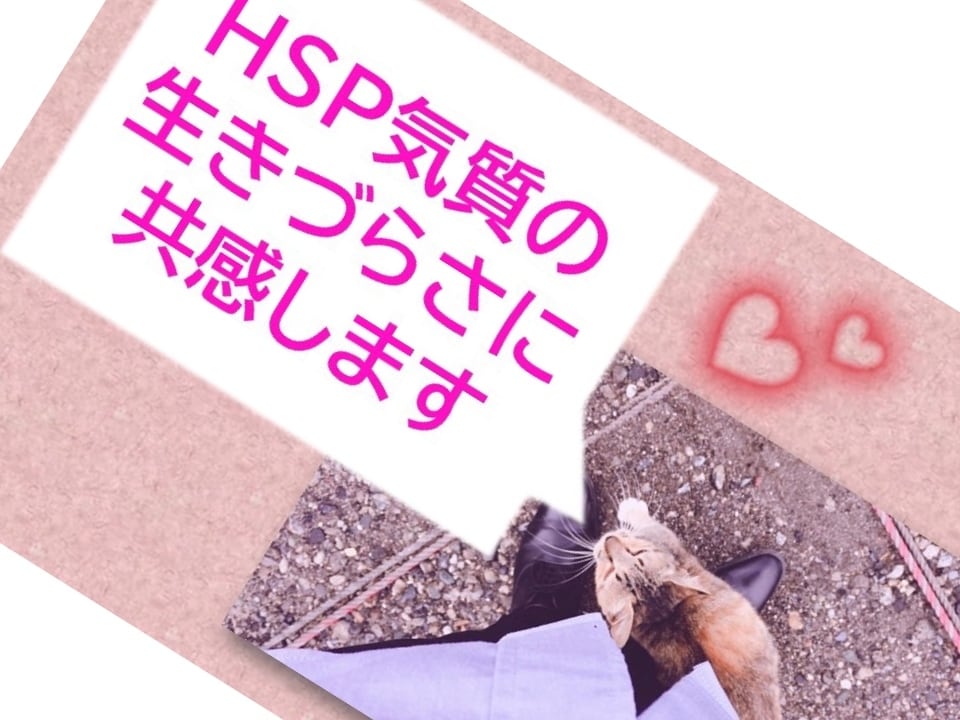 HSP気質の生きづらさに共感します 自らもHSPである精神保健福祉士がその悩みをじっくり伺います イメージ2