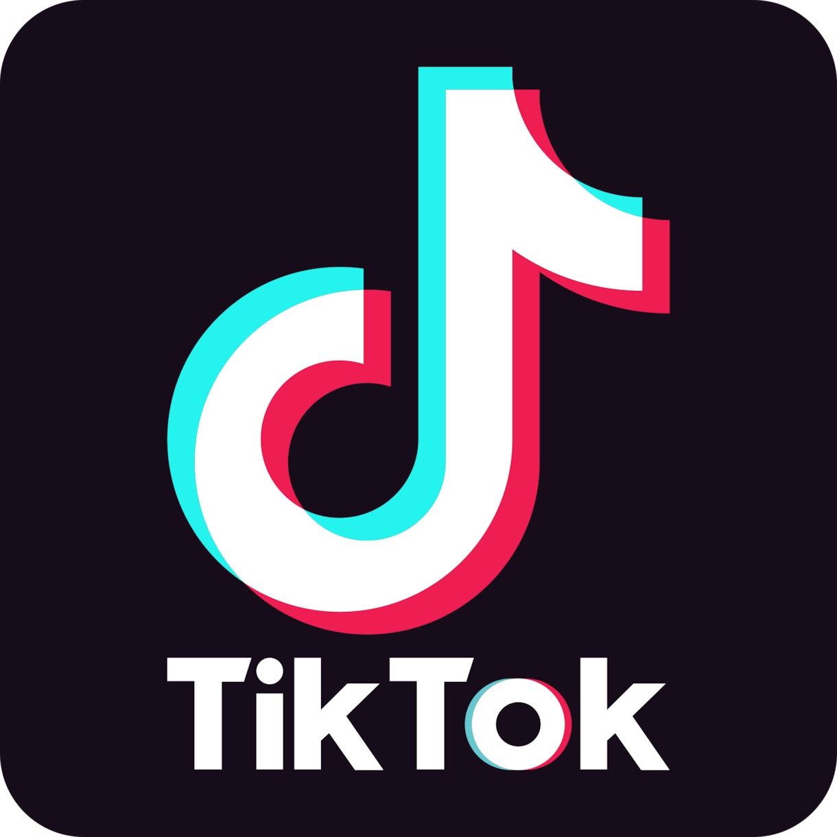 企業実績多数のプロがTikTokの運用代行をします 集客・採用・売上向上をTikTok運用でご支援いたします イメージ6