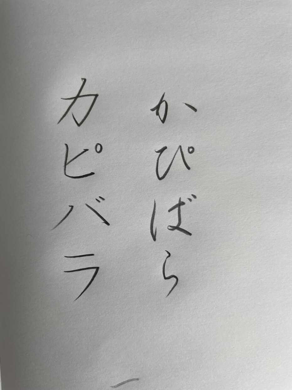 お手紙の代筆承ります 丁寧に真心込めてお手紙を書かせていただきます！ イメージ3