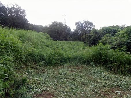 農地の贈与や相続で農地の処分お困りの方相談受けます 農地を使ってない、処分したい方、相談しませんか。 イメージ3