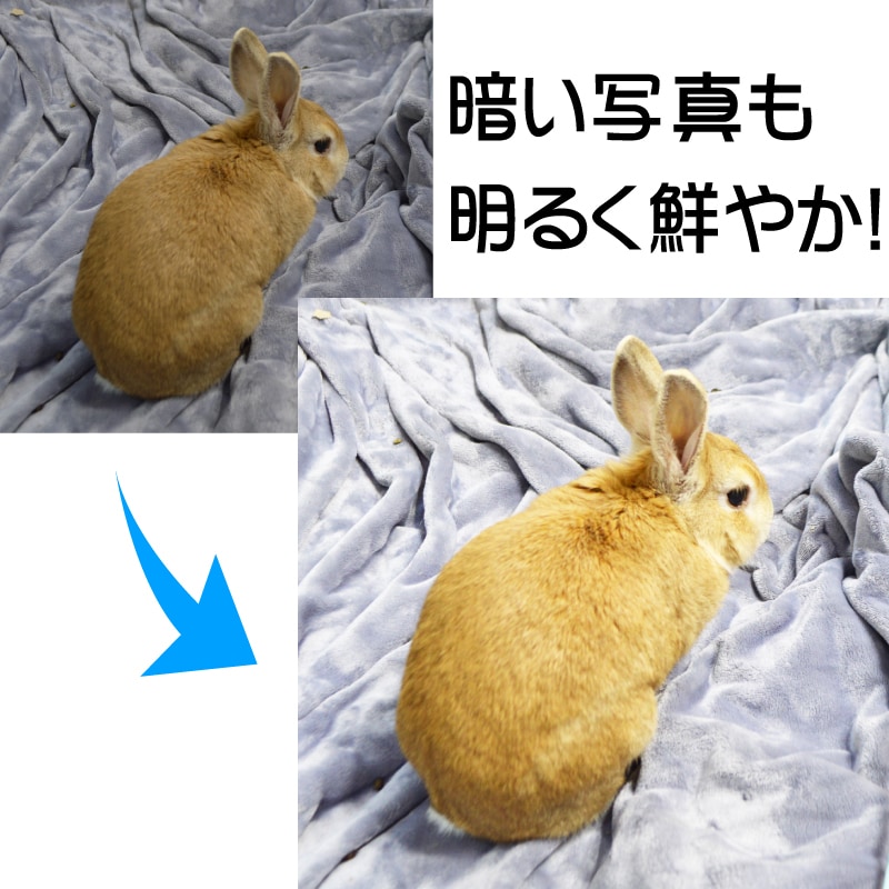 写真・画像の背景を切り抜き透過します 写真やイラストの背景を透明に！暗い写真も明るく鮮やかにします イメージ2