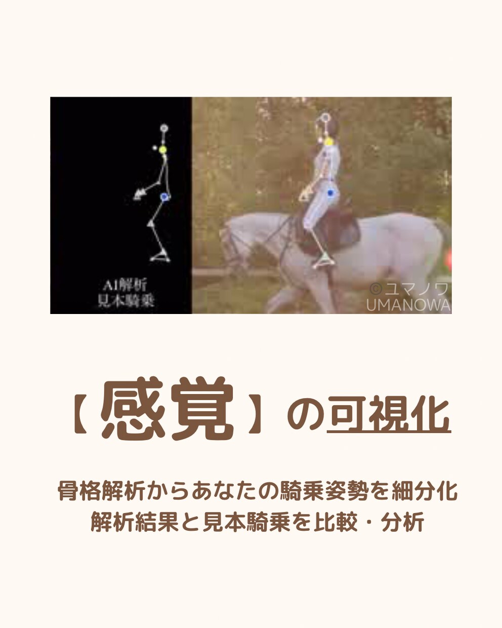 150-165㎝女性限定｜AI乗馬姿勢解析します あなたの姿勢を数値で可視化。AIと一緒に理想のフォームへ イメージ3