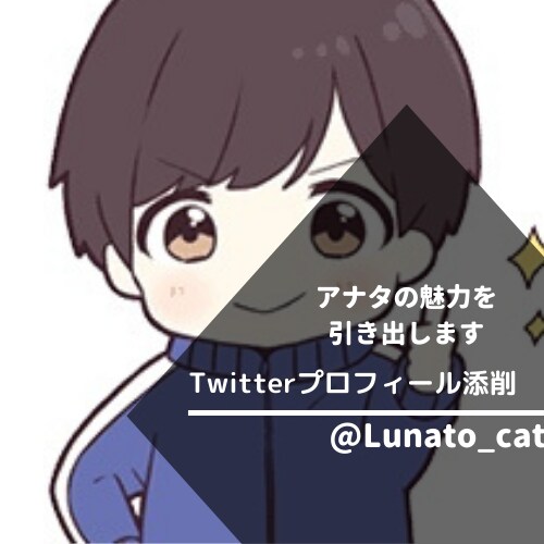 Twitterのプロフィール代行作成します 強みを明確にし、魅力的なプロフィールでファン化を促進 イメージ1