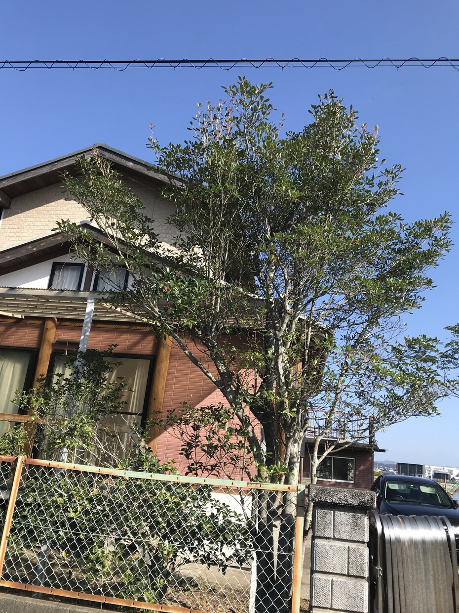 天草の別荘などの見回りをし、状況をお知らせ致します 台風後の物件の状況を知りたい、除草をして欲しい等 イメージ1