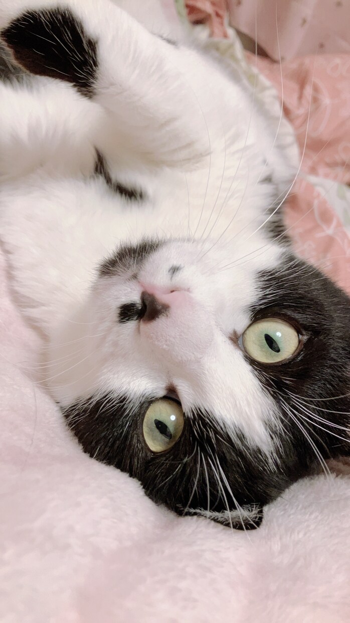 現役学生があなたの愚痴や悩みを優しく聞きます 日常であった悩み、愚痴などを現役学生が聞きます！ イメージ1
