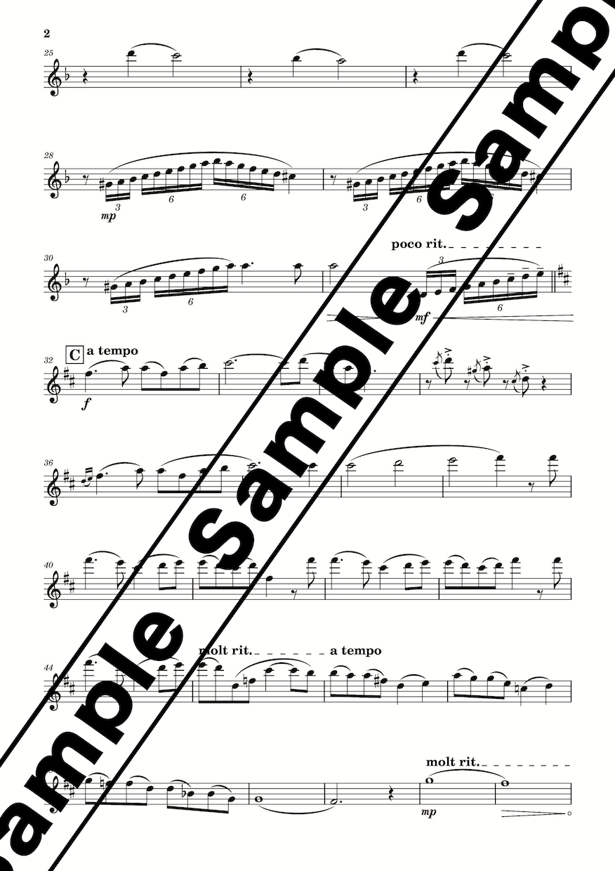 アンサンブル編曲を承ります どんな編成でもどんと来い！！！！ イメージ2