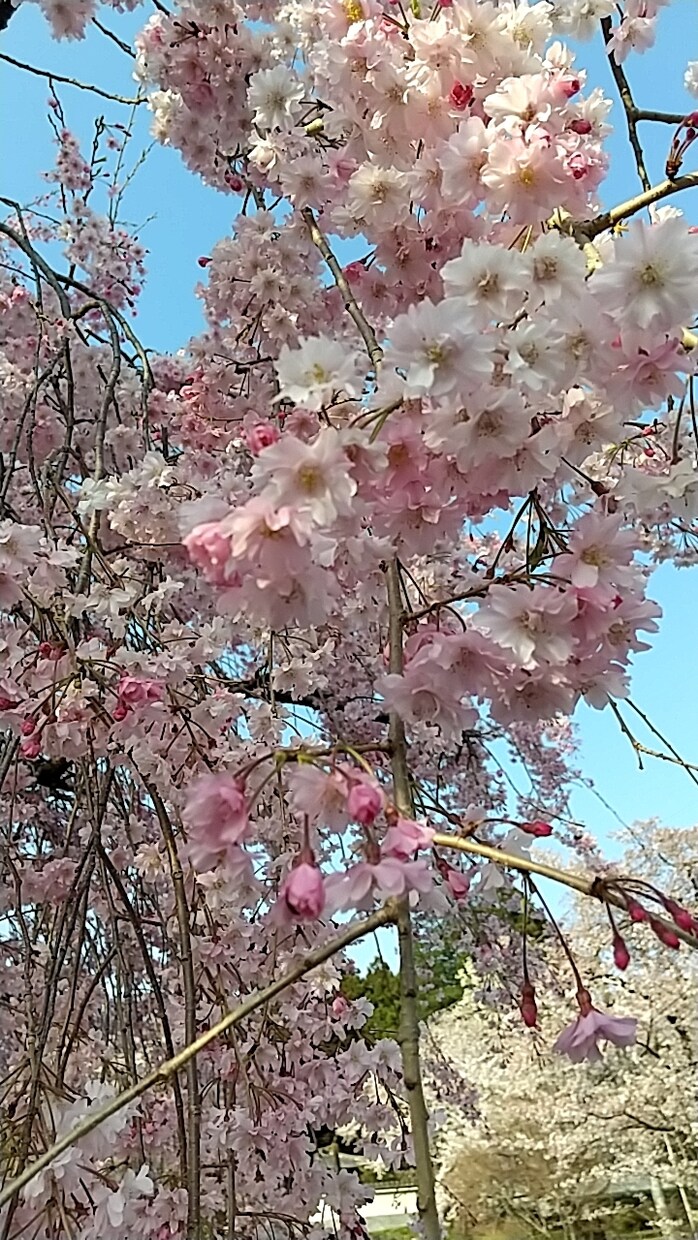 雑談から深刻な悩みまで☆優しく傾聴します 話せて良かったって思って貰えるようにアナタの心に寄り添います イメージ6