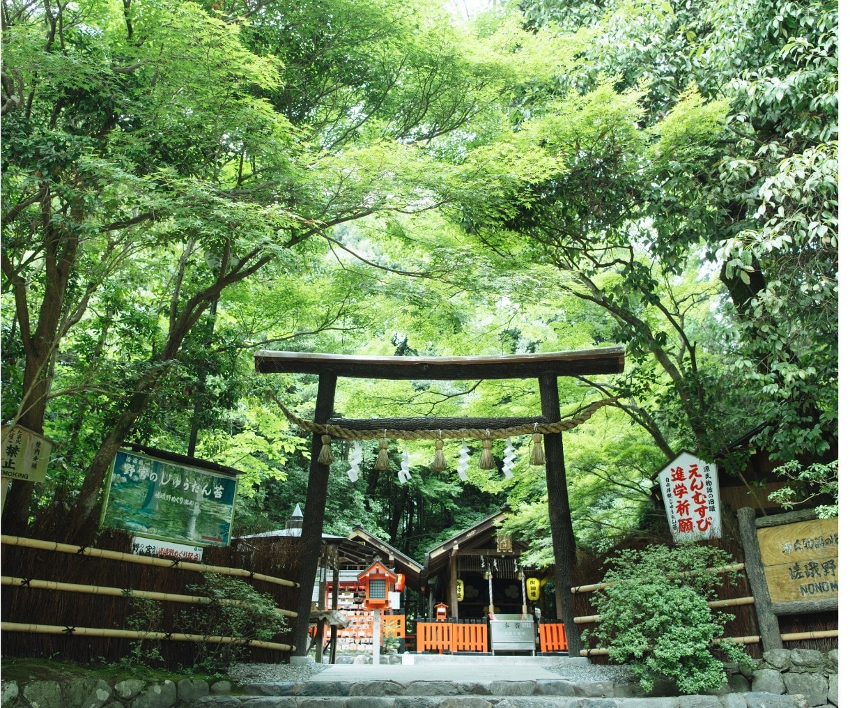 不倫の未来☆相手の気持ちを霊視タロットでみます 2人の未来、進むべき運命、霊視タロットで真実を照らします イメージ7
