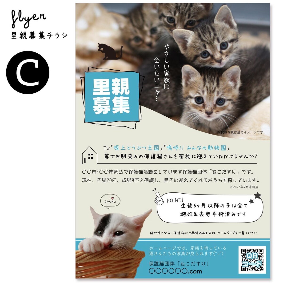 里親募集チラシ（保護団体さま用）をお作りします 保護猫･保護犬活動を広くお知らせしましょう！ イメージ5