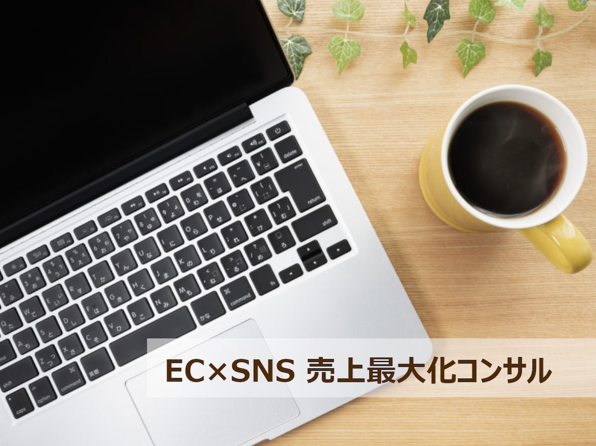 大手EC15年×SNS連動。売上最大化を伴走します 現役プロが15年の知見でECをフル伴走 イメージ1