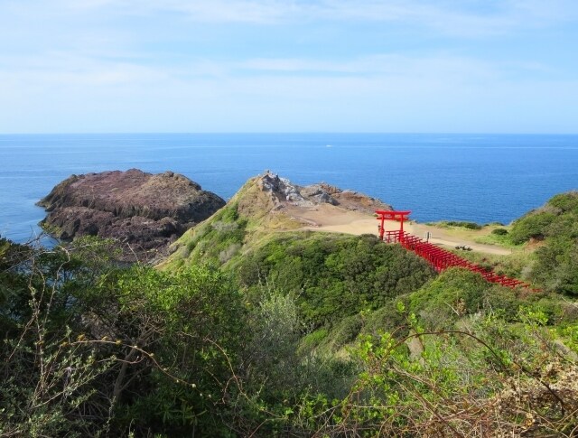 あなたの恋のゆくえを占い、彼の気持ちを伝えます 高度な霊感・霊視でモヤモヤを手放し、恋が進むヒントを教えます イメージ9