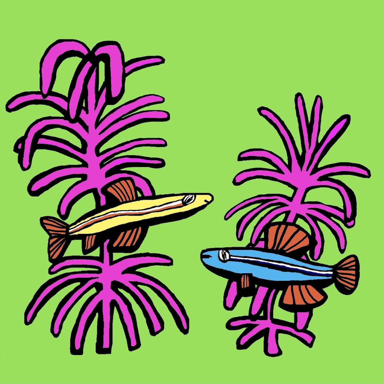 海洋生物など生き物のイラストアイコン制作します あなたの好きな生き物などをPOPで個性的なタッチで描きます。 イメージ8