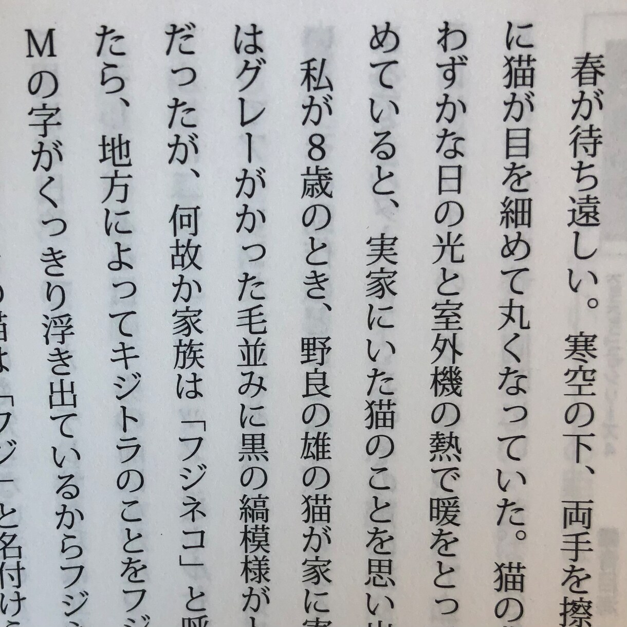 プロのエッセイストが記事/コラム/エッセイ書きます 出版経験のあるプロが記事を書きます。 イメージ1