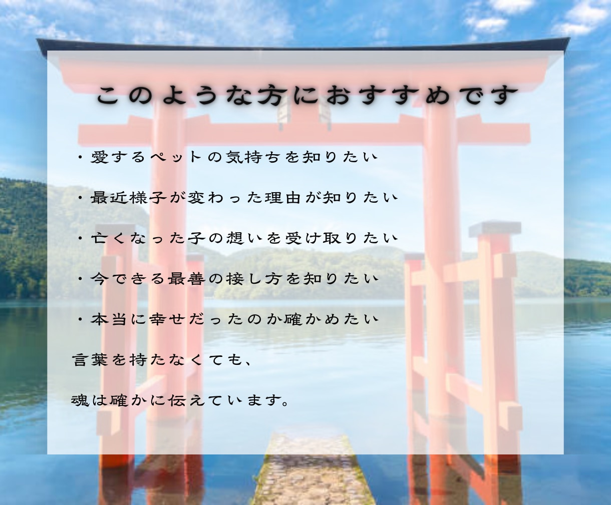 魂の縁｜ペットの想いと出会いの意味を霊視します 【すべては必然です】あの子があなたを選んだ理由を読み解く イメージ2