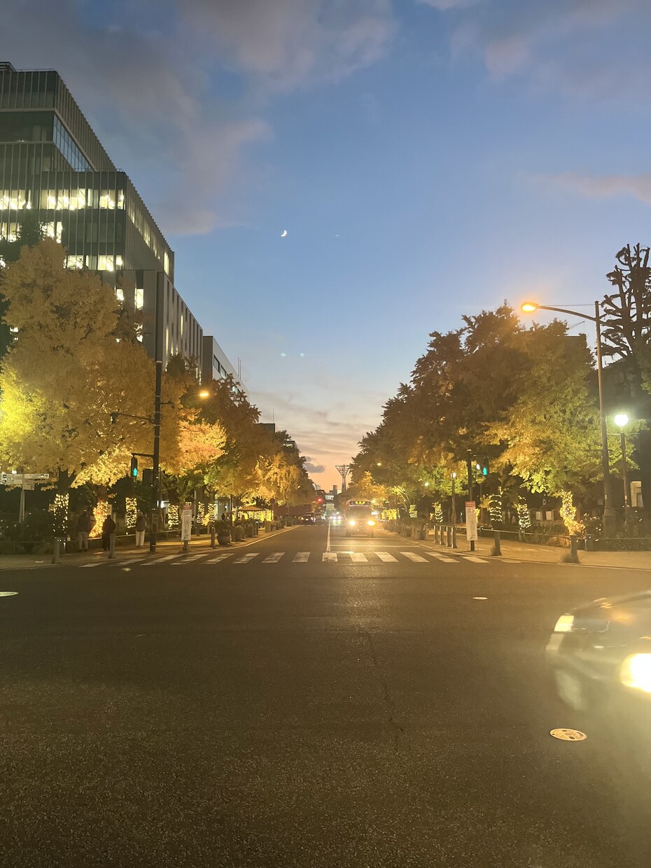 景色や花等、風景写真を撮っています 行けないところの景色を提供します。 イメージ9